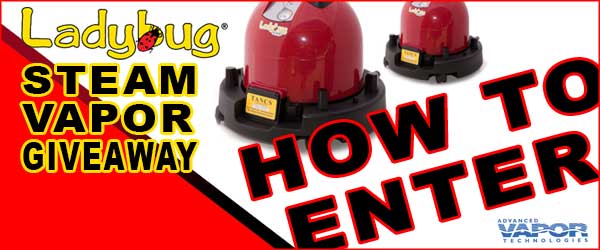 600600p3069EDNmain1903Ladybug-Giveaway-How-to-Enter-600-x-250-REV2