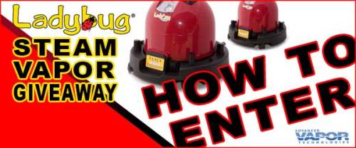 600600p3069EDNmain1903Ladybug-Giveaway-How-to-Enter-600-x-250-REV2