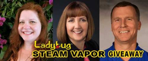 600600p3069EDNmain1925Ladybug-steam-vapor-trio-600-x-250