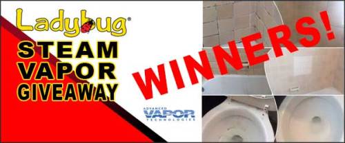 600600p3069EDNmain1947Ladybug-winners-announced-600-x-250