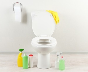 600600p3069EDNmain94toilet with cleaners 300x250